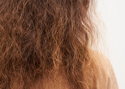 Understanding the Magic of Negative Ions: The Secret to Taming Frizz