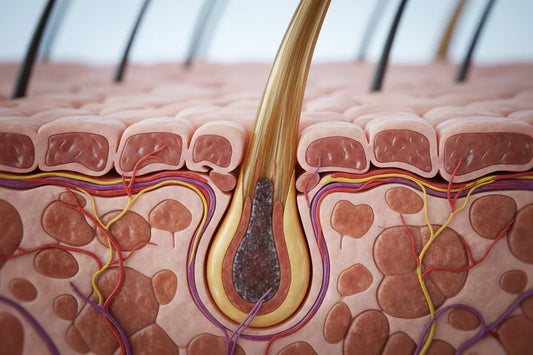 WHY IT WORKS: THE COMPLETE SCIENTIFIC BREAKDOWN of The 90-Day Protocol: Reverse Your Hair Loss, Reclaim Your Confidence